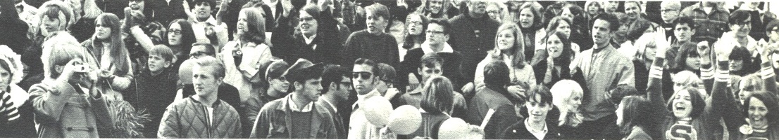 crowd pic