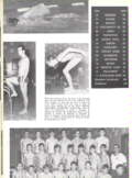 Swimming Action - Page 90
