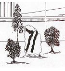 drawing of rock